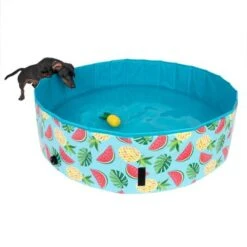 TIAKI Hundeschwimmbecken Mit Abdeckung -Angebote Hunde Moden Store 326696 floating pineapple fg 6641 9