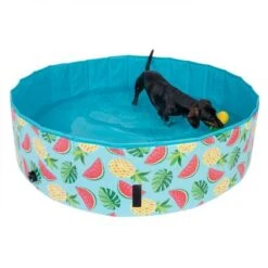 TIAKI Hundeschwimmbecken Mit Abdeckung -Angebote Hunde Moden Store 326696 floating pineapple fg 6648 6