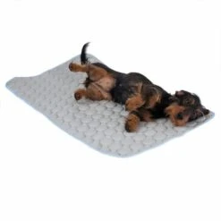 Kühldecke Bubbles 18 Kühldecke Bubbles -Angebote Hunde Moden Store 326796 kuehldecke bubbles fg 8237 7