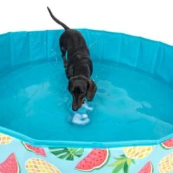 TIAKI Hundeschwimmbecken Mit Abdeckung -Angebote Hunde Moden Store 329014 tiaki seahorse fg 6664 7