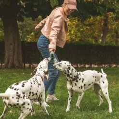 Nomad Tales Spirit Spieltau Kleeblatt -Angebote Hunde Moden Store 333014 nomad tales spirit spieltau kleeblatt 01 7