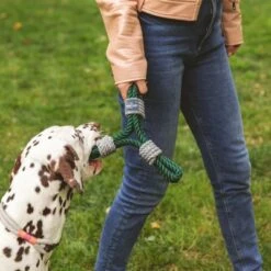 Nomad Tales Spirit Spieltau Kleeblatt -Angebote Hunde Moden Store 333014 nomad tales spirit spieltau kleeblatt 02 1