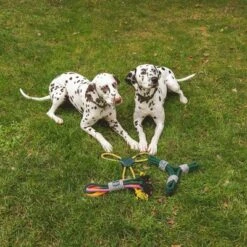 Nomad Tales Spirit Spieltau Kleeblatt -Angebote Hunde Moden Store 333014 nomad tales spirit spieltau kleeblatt 03 4