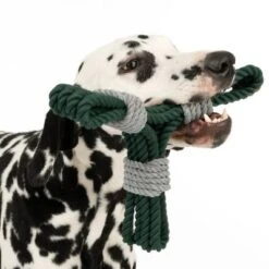 Nomad Tales Spirit Spieltau Kleeblatt -Angebote Hunde Moden Store 333014 spirit clover rope toy fg 0554 6