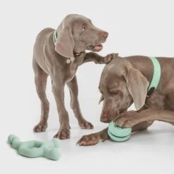 Nomad Tales Bloom Snack-Roller -Angebote Hunde Moden Store 333015 nomad tales snack ball 01 4