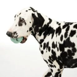 Nomad Tales Bloom Snack-Roller -Angebote Hunde Moden Store 333015 rolling snack roll fg 0570 7