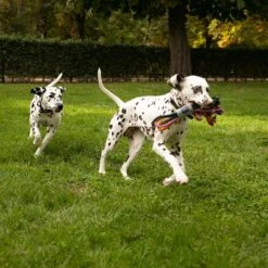 Nomad Tales Spirit Hundespielzeug Multirope -Angebote Hunde Moden Store 333098 nomad tales spirit multirope hs 02 8