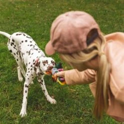 Nomad Tales Spirit Hundespielzeug Multirope -Angebote Hunde Moden Store 333098 nomad tales spirit multirope hs 05 3