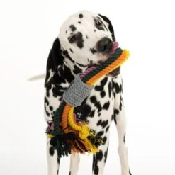 Nomad Tales Spirit Hundespielzeug Multirope -Angebote Hunde Moden Store 333098 spirit multirope fg 0527 1