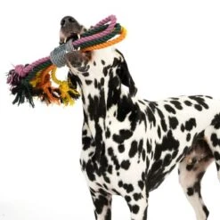 Nomad Tales Spirit Hundespielzeug Multirope -Angebote Hunde Moden Store 333098 spirit multirope fg 0530 3