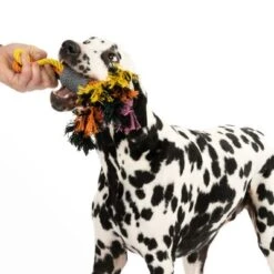 Nomad Tales Spirit Hundespielzeug Multirope -Angebote Hunde Moden Store 333098 spirit multirope fg 0536 2