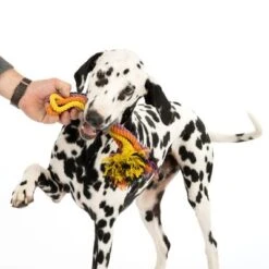 Nomad Tales Spirit Hundespielzeug Multirope -Angebote Hunde Moden Store 333098 spirit multirope fg 0537 5