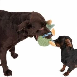 TIAKI Hundespielzeug Aral Seagull -Angebote Hunde Moden Store 333100 aral seagull fg 6820 3