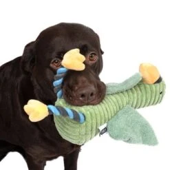 TIAKI Hundespielzeug Aral Seagull -Angebote Hunde Moden Store 333100 aral seagull fg 6822 4