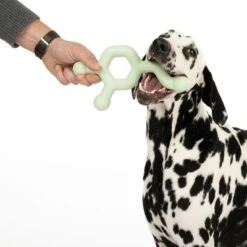 Nomad Tales Bloom Hundespielzeug Molekül -Angebote Hunde Moden Store 333196 bloom floating toy fg 0520 5