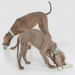 Nomad Tales Bloom Hundespielzeug Molekül -Angebote Hunde Moden Store 333196 nomad tales bloom hundespielzeug molek l 01 0