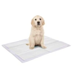 Savic Puppy Trainer Pads Mit Lavendelduft -Angebote Hunde Moden Store 334996 savic puppy trainer lavender pads large hs 02 7