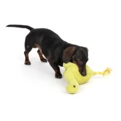 TIAKI Hundespielzeug Diplodocus -Angebote Hunde Moden Store 337497 diplodocus fg 6795 9