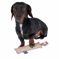 Nomad Tales Calma Hundespielzeug Kaustab 12 Nomad Tales Calma Hundespielzeug Kaustab -Angebote Hunde Moden Store 344596 calma chewing stick fg 7906 5