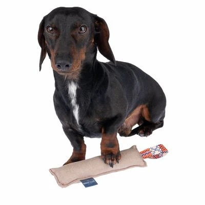 Nomad Tales Calma Hundespielzeug Kaustab 3 Nomad Tales Calma Hundespielzeug Kaustab – Bild 3