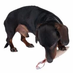 Nomad Tales Calma Hundespielzeug Kaustab 18 Nomad Tales Calma Hundespielzeug Kaustab -Angebote Hunde Moden Store 344596 calma chewing stick fg 7910 5