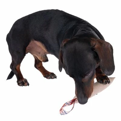 Nomad Tales Calma Hundespielzeug Kaustab 9 Nomad Tales Calma Hundespielzeug Kaustab – Bild 9