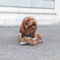 Nomad Tales Calma Hundespielzeug Kaustab 17 Nomad Tales Calma Hundespielzeug Kaustab -Angebote Hunde Moden Store 344596 nomad tales calma chewing stick hs 02 6