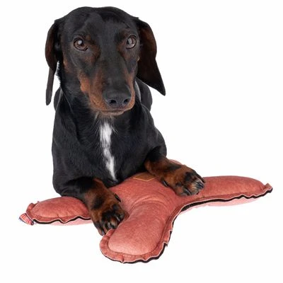 Nomad Tales Blush Hundespielzeug Flying X 6 Nomad Tales Blush Hundespielzeug Flying X – Bild 6