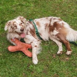 Nomad Tales Blush Hundespielzeug Flying X 12 Nomad Tales Blush Hundespielzeug Flying X -Angebote Hunde Moden Store 344597 nomad tales blush flyingx hs 02 2