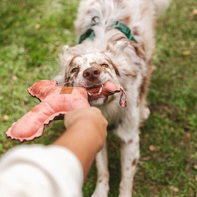 Nomad Tales Blush Hundespielzeug Flying X 8 Nomad Tales Blush Hundespielzeug Flying X – Bild 8