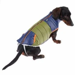 TIAKI Hundejacke Stripesneu -Angebote Hunde Moden Store 360298 tiaki stripes fg 9952 1