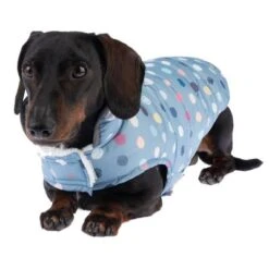 TIAKI Hundemantel Comfy Dotsneu -Angebote Hunde Moden Store 360301 comfy dots fg 9974 2
