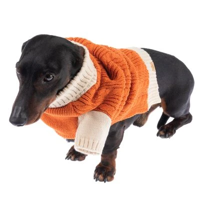 TIAKI Hundepullover Padded Knitneu 9 TIAKI Hundepullover Padded Knitneu – Bild 9