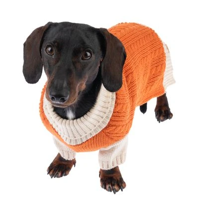 TIAKI Hundepullover Padded Knitneu 10 TIAKI Hundepullover Padded Knitneu – Bild 10