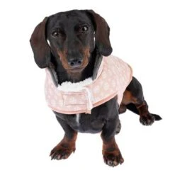 TIAKI Hundemantel Cozy Snowflakeneu -Angebote Hunde Moden Store 360406 cozy snowflake 35cm fg 9930 5