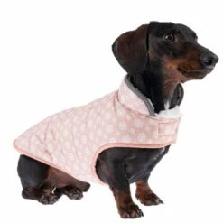 TIAKI Hundemantel Cozy Snowflakeneu -Angebote Hunde Moden Store 360406 cozy snowflake 35cm fg 9935 6