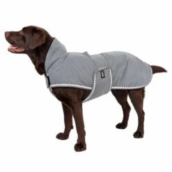 TIAKI Hundemantel Sparkneu 27 TIAKI Hundemantel Sparkneu -Angebote Hunde Moden Store 360996 tiaki spark 60cm fg 0808 9