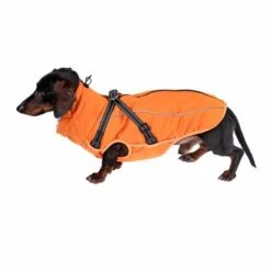 TIAKI Hundemantel Mit Geschirr Arkon, Orangeneu -Angebote Hunde Moden Store 361405 harness arkon 35cm fg 9643 3