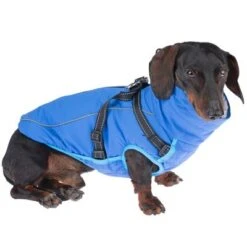 TIAKI Hundemantel Mit Geschirr Arkon, Blauneu -Angebote Hunde Moden Store 361696 harness arkon 40cm fg 9648 5