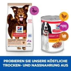 Hill's Science Plan Adult Culinary Creations Medium Ente & Kartoffel -Angebote Hunde Moden Store 365896 365798 hills scienceplan adult medium duckpotato hs 11 6