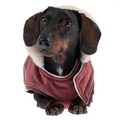 TIAKI Hundemantel Ellmoneu -Angebote Hunde Moden Store 369524 elmo 40cm fg 0219 5