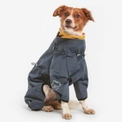 Nomad Tales Spirit Hundeoverall Atlanticneu -Angebote Hunde Moden Store 369713 nt spirit atlantic 3 0