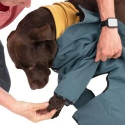 Nomad Tales Spirit Hundeoverall Atlanticneu -Angebote Hunde Moden Store 369713 nt spirit atlantic 55cm fg 0758 7