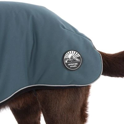 TIAKI Hundemantel Warmup Pro Skyneu 15 TIAKI Hundemantel Warmup Pro Skyneu – Bild 15