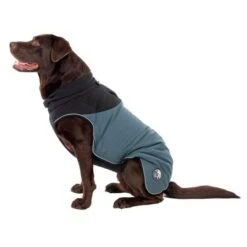 TIAKI Hundemantel Warmup Pro Skyneu 33 TIAKI Hundemantel Warmup Pro Skyneu -Angebote Hunde Moden Store 370298 warmup pro sky 60cm fg 0043 7