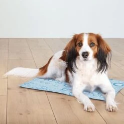 Trixie Kühlmatte Drops -Angebote Hunde Moden Store 372299 trixie kuehlmatte hs 07 8