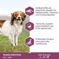 Eukanuba Daily Care Monoprotein Enteneu 8 Eukanuba Daily Care Monoprotein Enteneu -Angebote Hunde Moden Store 381808 iams eukanuba daily care monoprotein ente hs 02 6