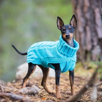 Rukka® Hundepullover Wooly, Türkisneu – Bild 3