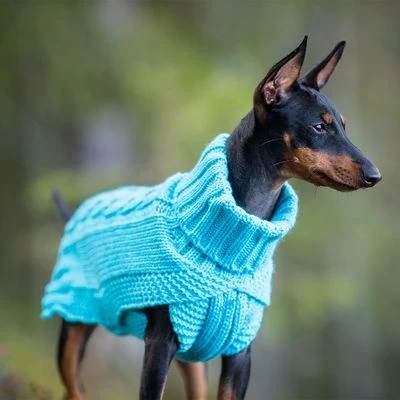 Rukka® Hundepullover Wooly, Türkisneu – Bild 7
