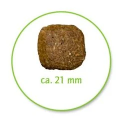 Belcando Junior Maxi -Angebote Hunde Moden Store 386656 belcando junior maxi 0